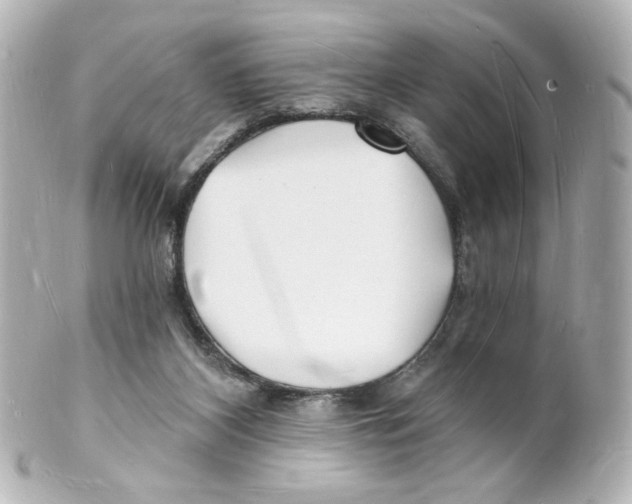 X0000101470116200808041114