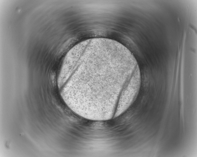 X0000101470123200808041114