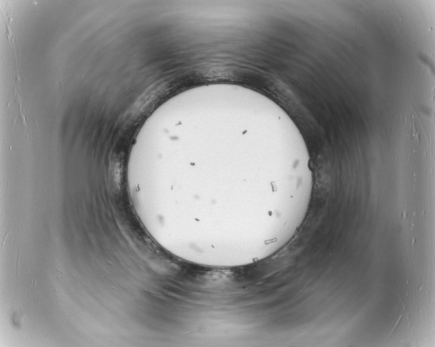 X0000101470124200808041114