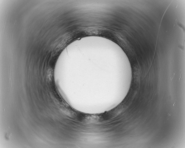 X0000101470125200808041114