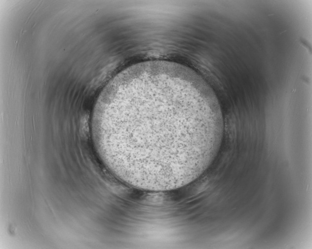 X0000101470127200808041114