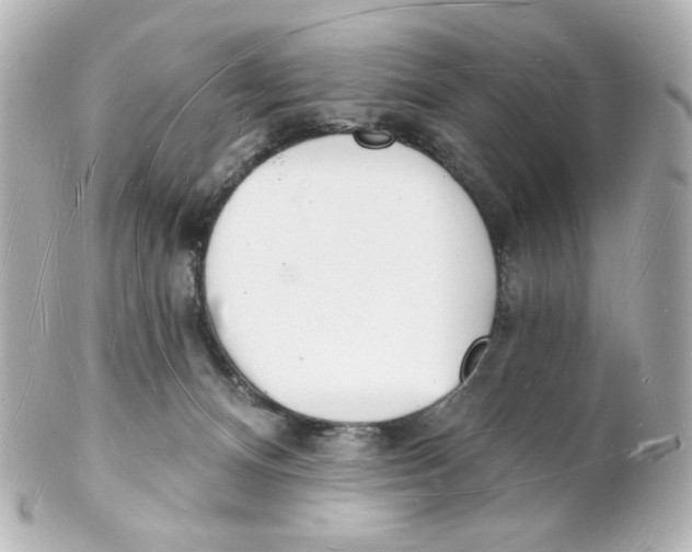 X0000101470128200808041114