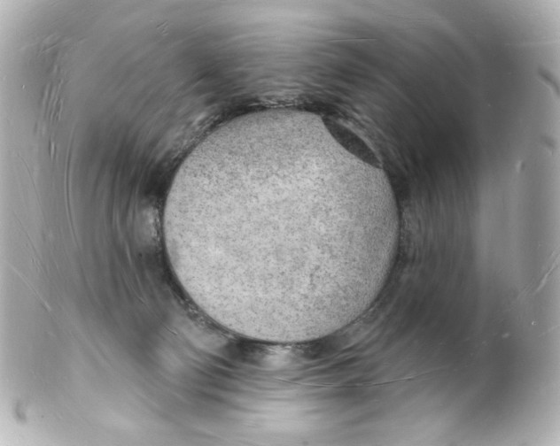 X0000101470130200808041114