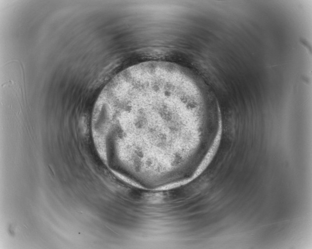 X0000101470131200808041114