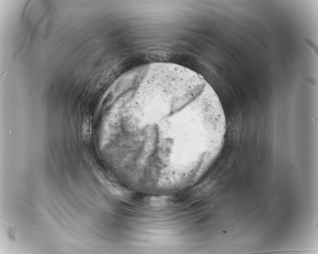 X0000101470134200808041114