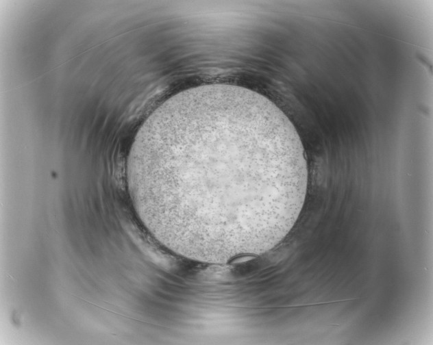 X0000101470138200808041114