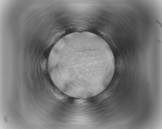 X0000101470139200808041114