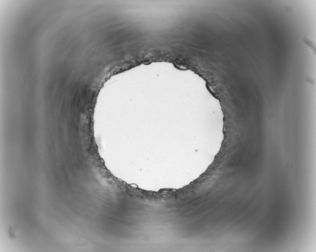 X0000101470144200808041114