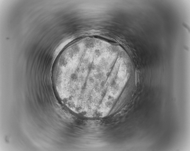 X0000101470147200808041113