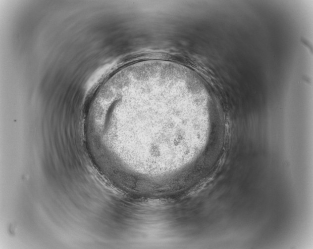 X0000101470149200808041113