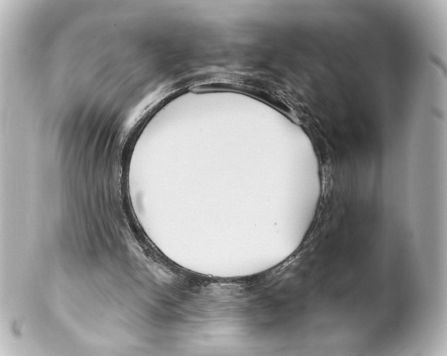 X0000101470150200808041113