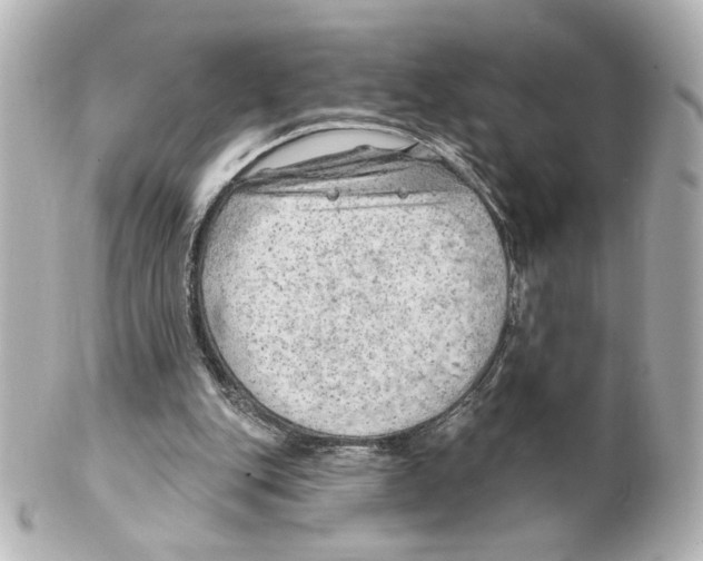 X0000101470151200808041113