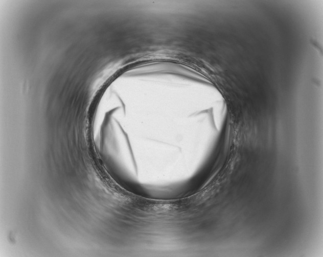 X0000101470152200808041113