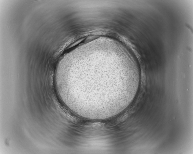 X0000101470153200808041113