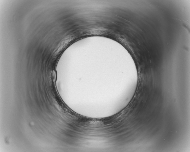 X0000101470154200808041113