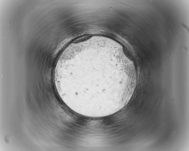 X0000101470155200808041113