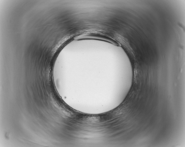 X0000101470156200808041113