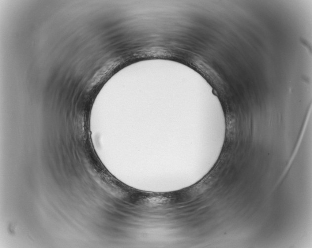 X0000101470158200808041113