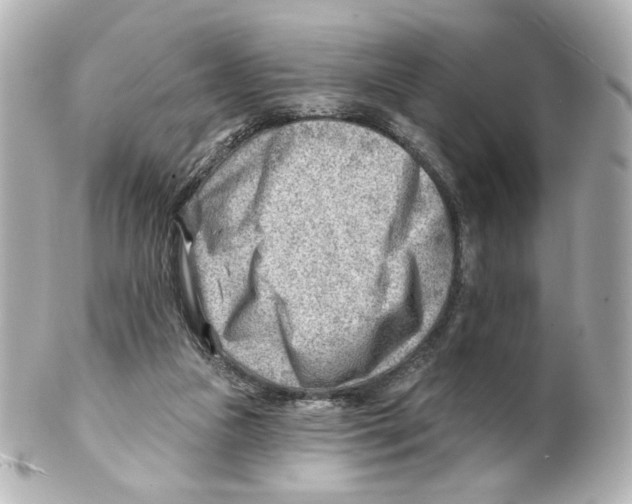 X0000101470161200808041113