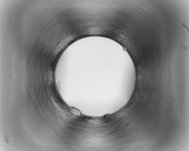 X0000101470164200808041113