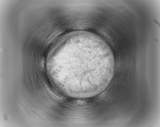 X0000101470166200808041113