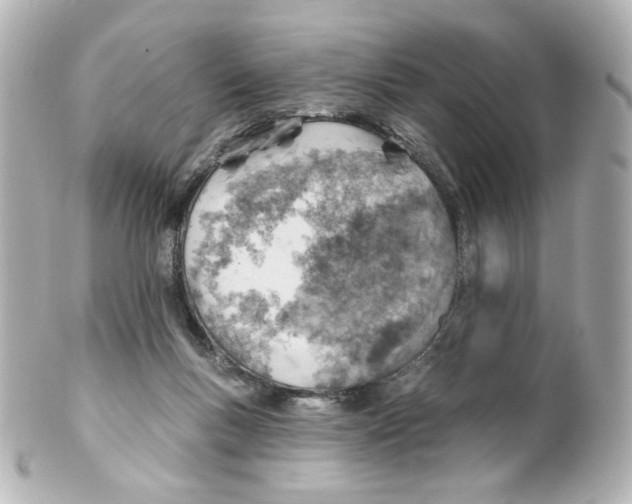 X0000101470167200808041113