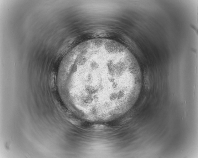 X0000101470169200808041113