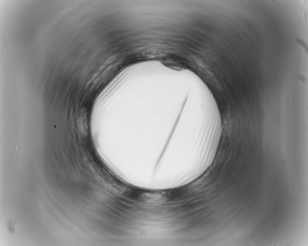 X0000101470170200808041113