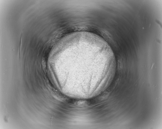 X0000101470173200808041113