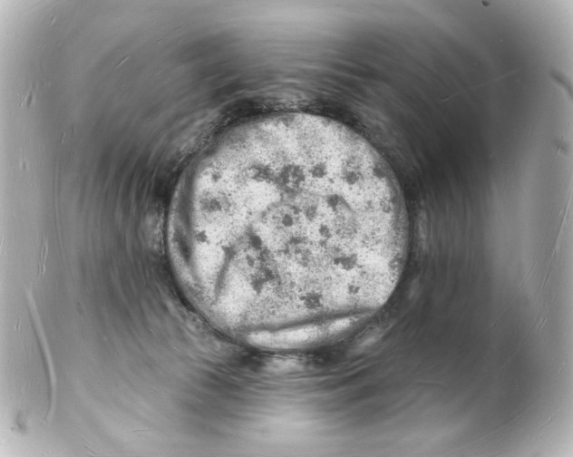 X0000101470177200808041113