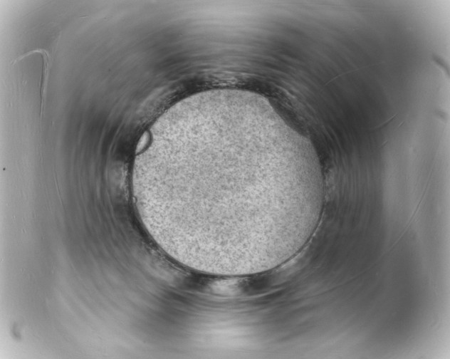 X0000101470178200808041113