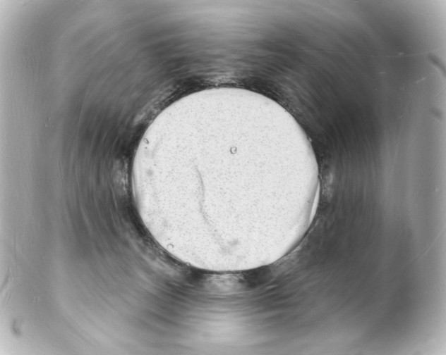 X0000101470179200808041113