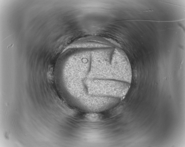 X0000101470181200808041113