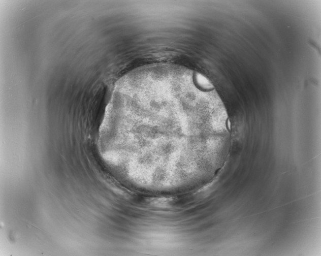 X0000101470182200808041113