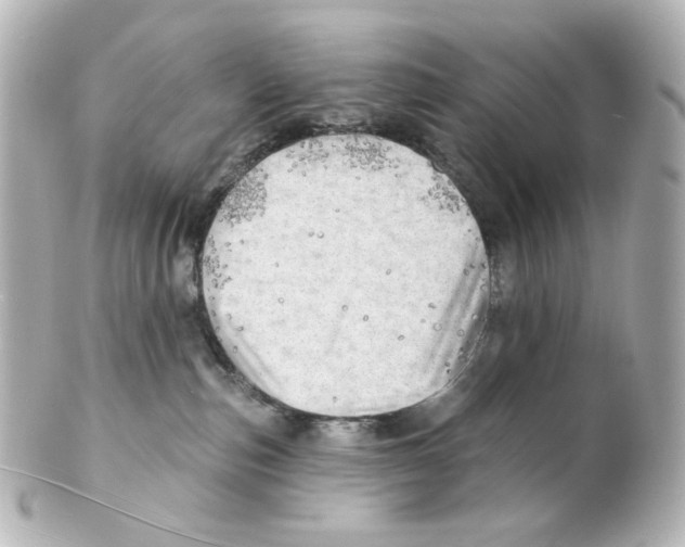 X0000101470187200808041114