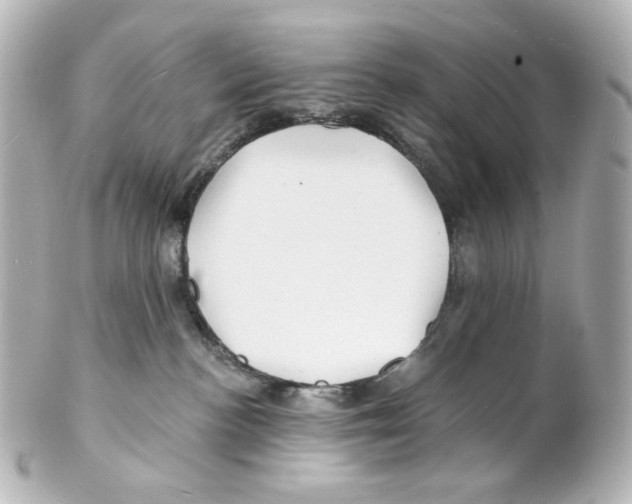 X0000101470188200808041114