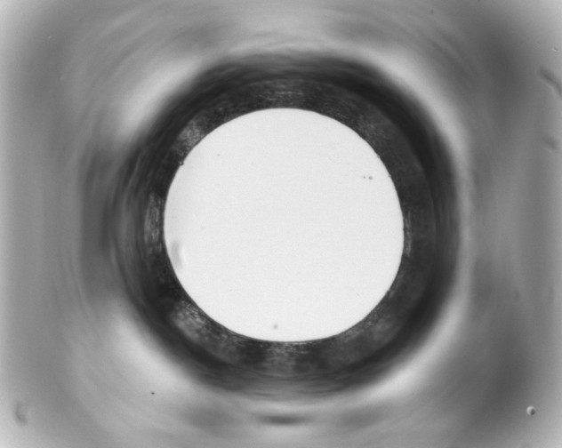 X0000101470190200808041114