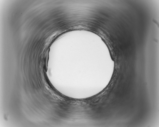 X0000101470193200808041113