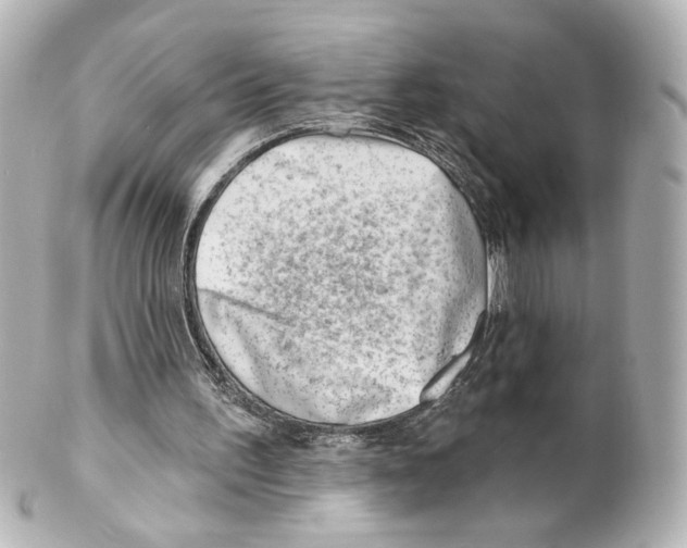 X0000101470195200808041113