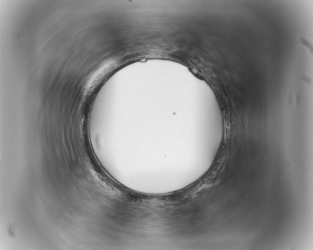 X0000101470197200808041113