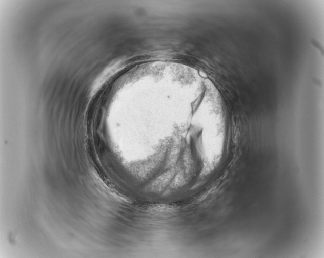 X0000101470198200808041113