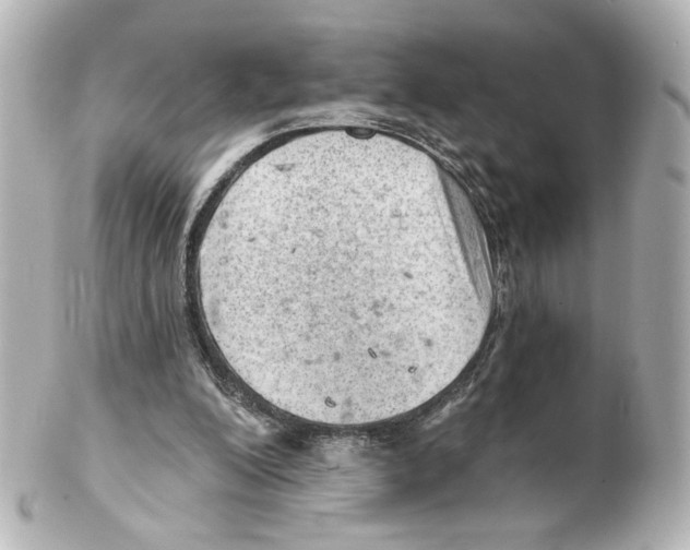 X0000101470200200808041113