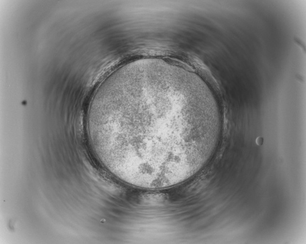 X0000101470202200808041113