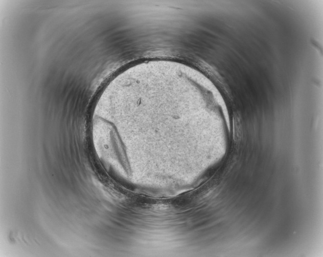 X0000101470204200808041113