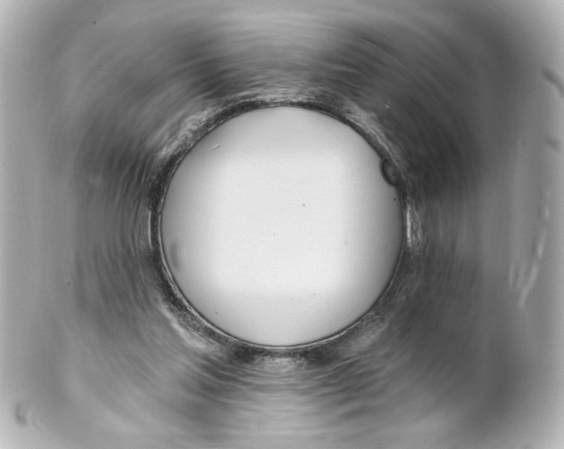 X0000101470205200808041113