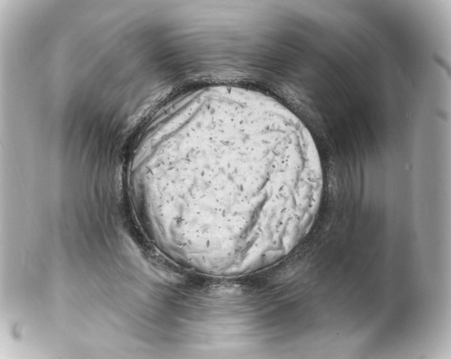 X0000101470206200808041113