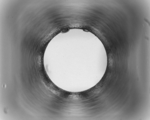 X0000101470211200808041113