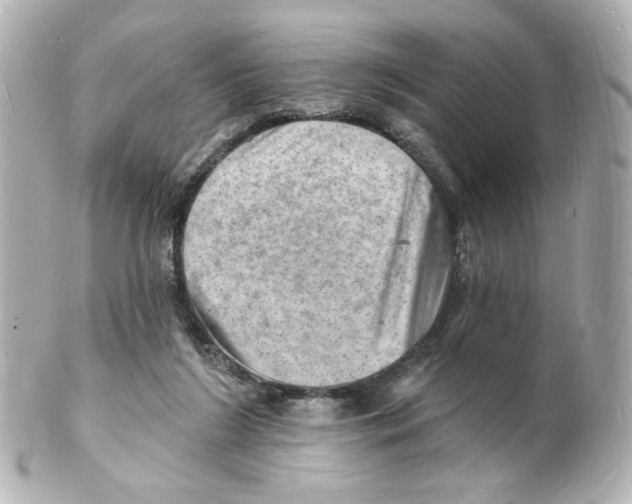 X0000101470212200808041112