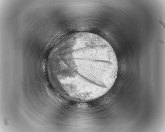 X0000101470214200808041112