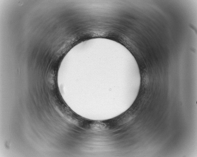 X0000101470215200808041112